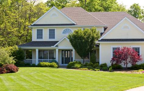 Tree Services in Georgia